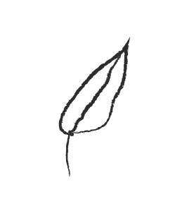 Icono Hoja